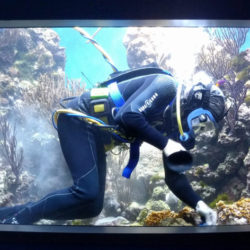 Volunteer Diver